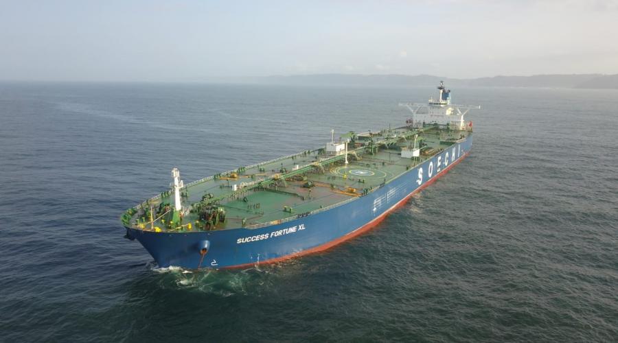 MT. SUCCESS FORTUNE XL /GT.158.764